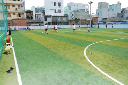 Sân bóng đá cỏ nhân tạo Trường Múa Sân Khấu Điện Ảnh