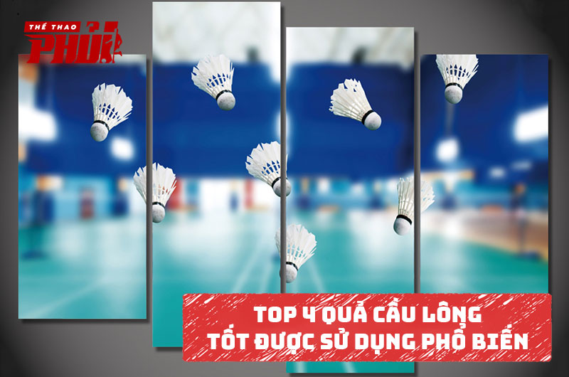 Top 4 quả cầu lông tốt được sử dụng phổ biến