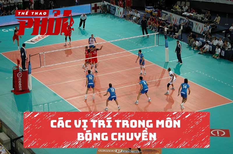 Các vị trí trong môn bóng chuyền