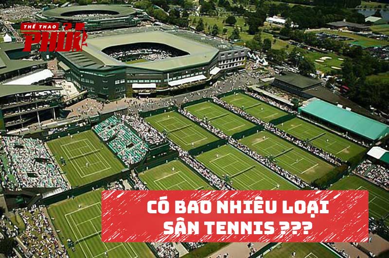 Có bao nhiêu loại sân Tennis?