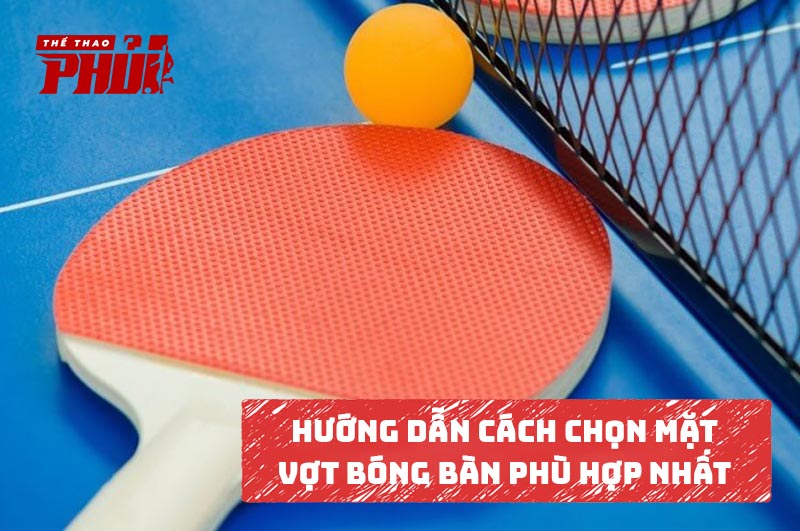 Hướng dẫn cách chọn mặt vợt bóng bàn phù hợp nhất