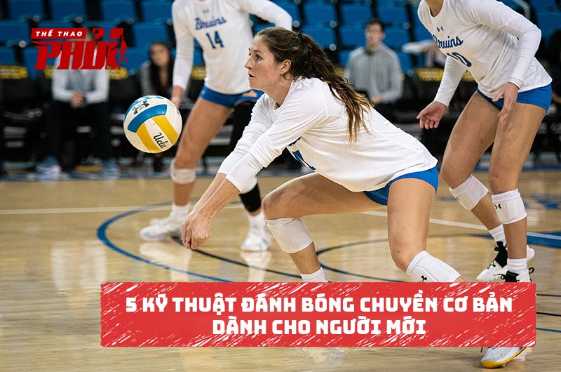 5 kỹ thuật đánh bóng chuyền cơ bản dành cho người mới