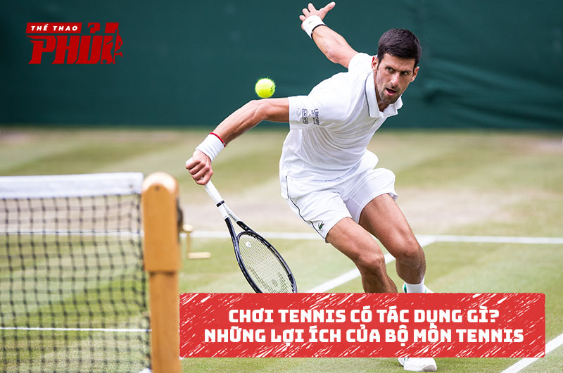 Chơi Tennis có tác dụng gì? Những lợi ích của bộ môn Tennis