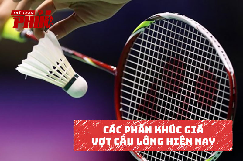 Các phân khúc giá vợt cầu lông hiện nay
