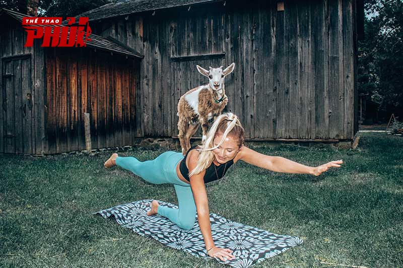 Goat Yoga