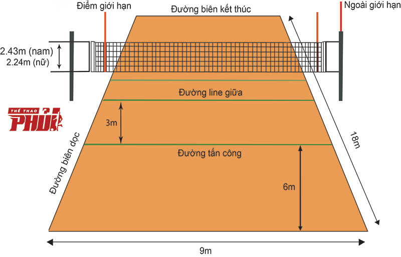 Kích thước sân và chiều cao cột lưới trong môn bóng chuyền