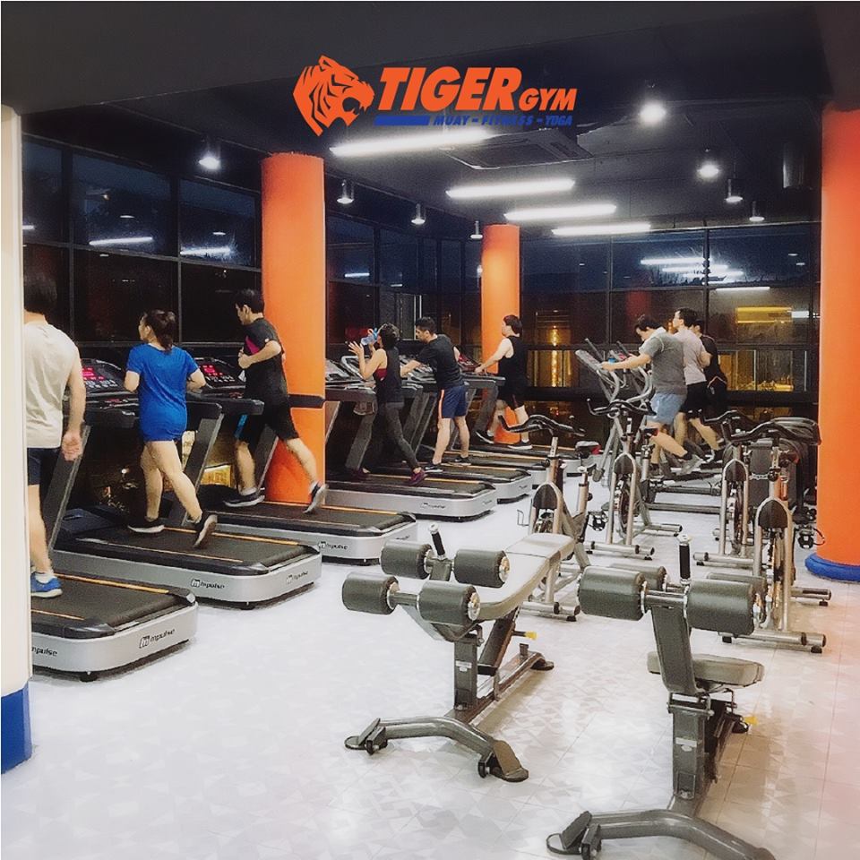 Phòng tập TIGER Gym Vietnam