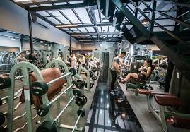 Phòng Tập Gym Thể Lực Vàng Hoàng Hoa Thám